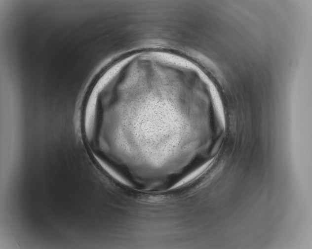 X0000101711326200807311444