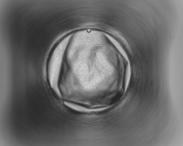 X0000101711328200807311444