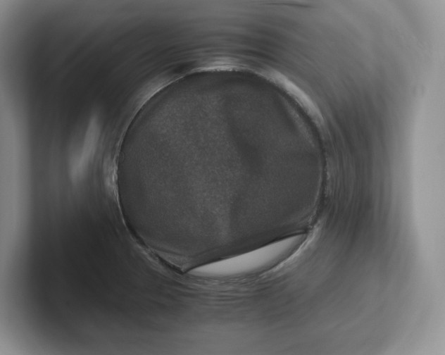 X0000101711329200807311444