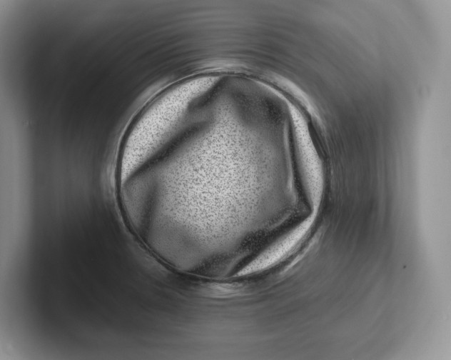 X0000101711330200807311444