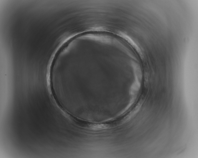 X0000101711331200807311444