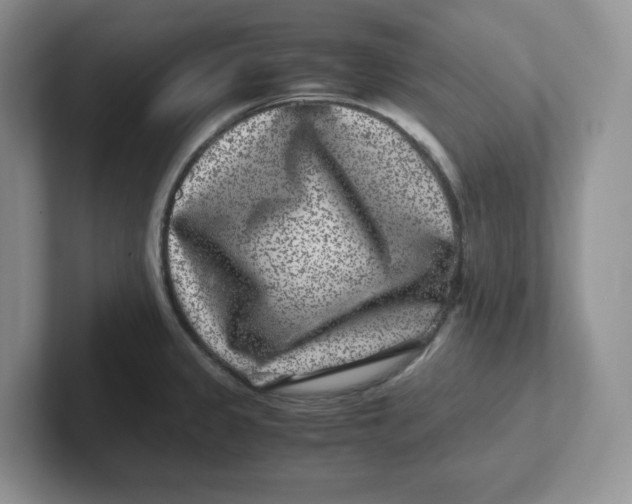 X0000101711333200807311444