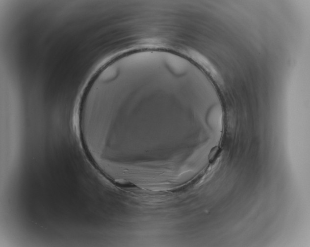 X0000101711334200807311444