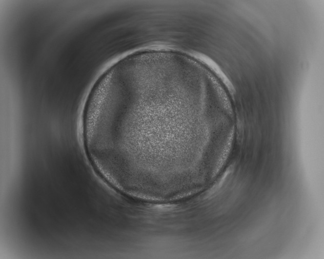 X0000101711335200807311444