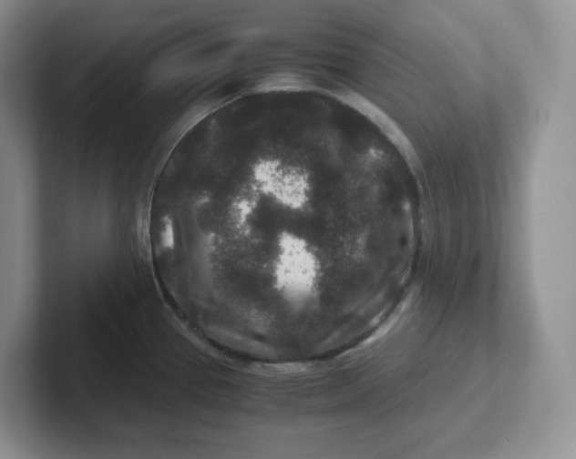 X0000101711337200807311444