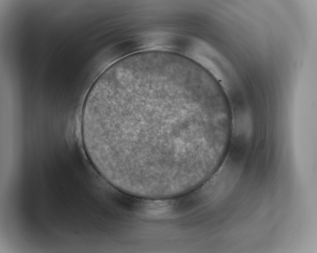 X0000101711338200807311444