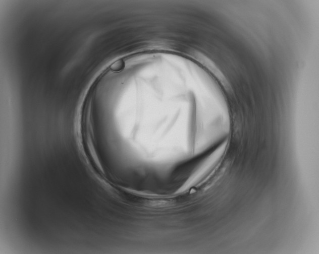 X0000101711339200807311444