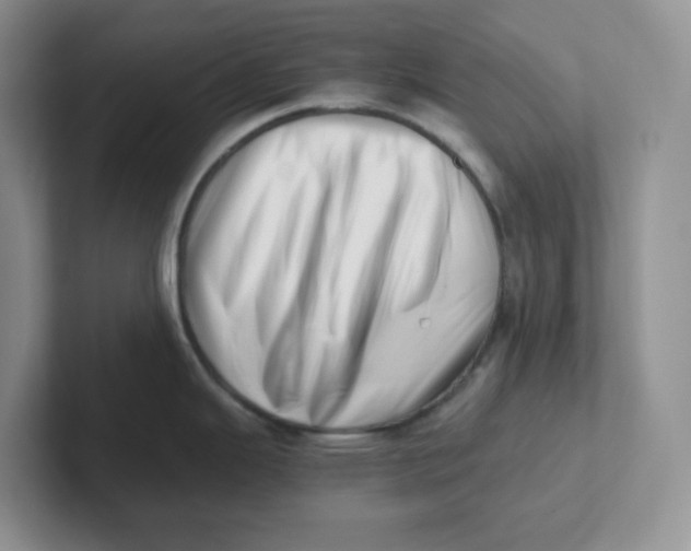 X0000101711343200807311444