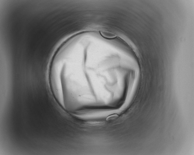 X0000101711344200807311444