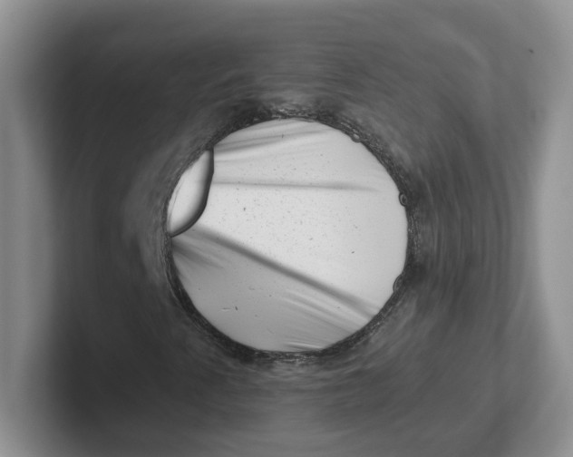 X0000101711345200807311444