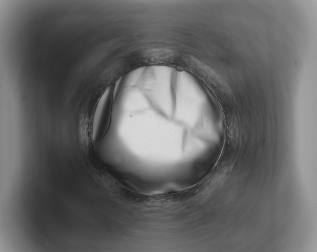 X0000101711346200807311443