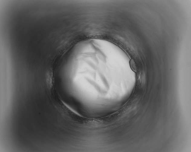 X0000101711348200807311443