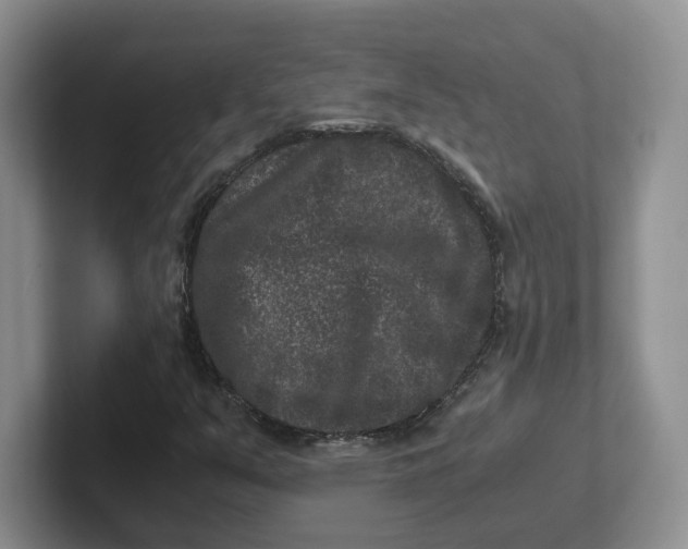 X0000101711351200807311443