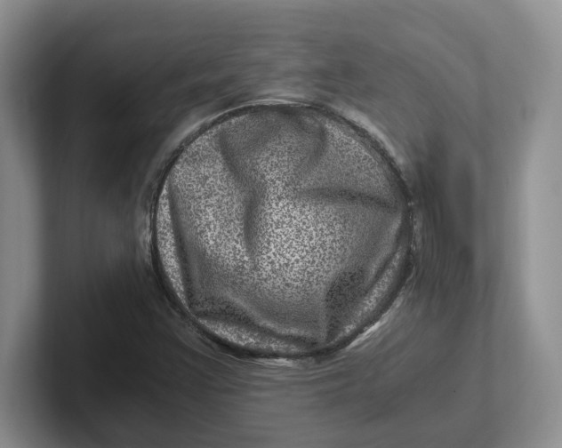 X0000101711355200807311443