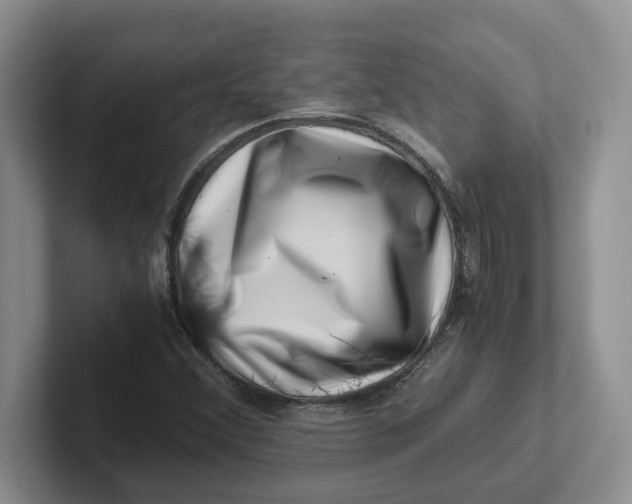 X0000101711356200807311443