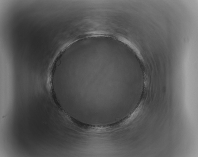 X0000101711357200807311443