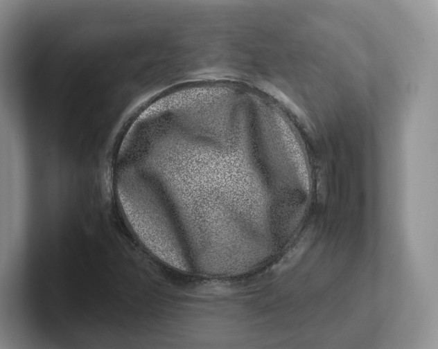 X0000101711358200807311443