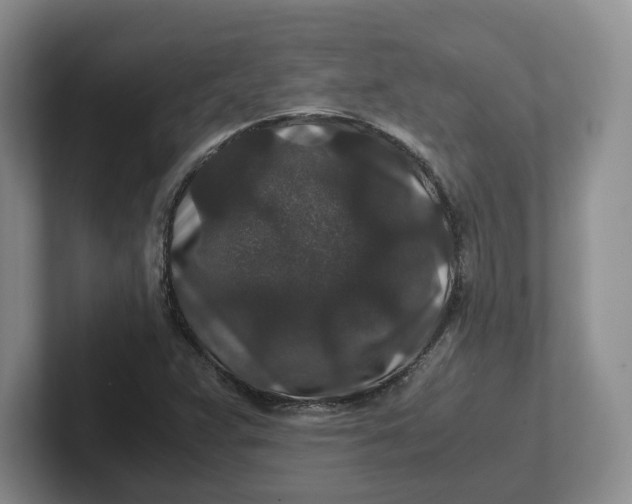 X0000101711359200807311443