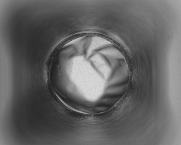 X0000101711360200807311443