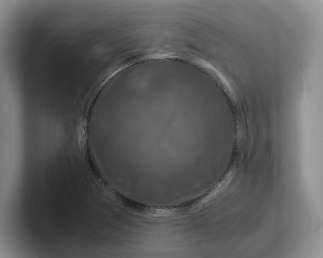 X0000101711361200807311443