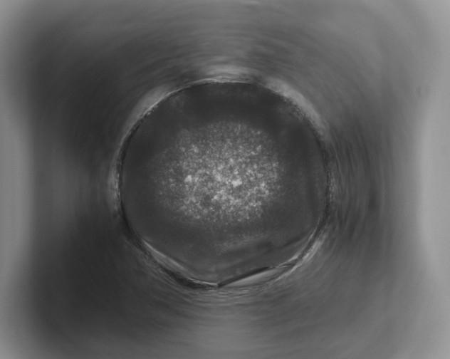 X0000101711362200807311443