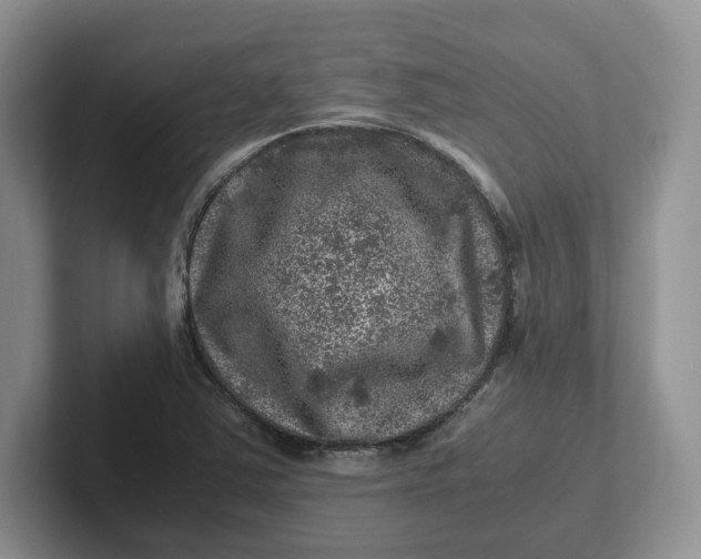 X0000101711363200807311443