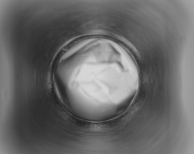 X0000101711364200807311443