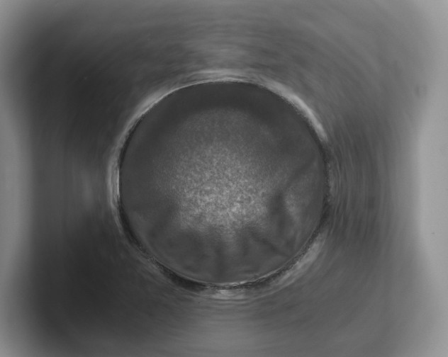 X0000101711365200807311443