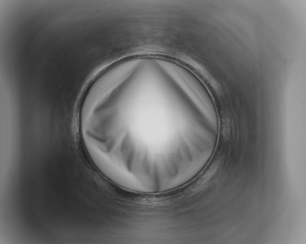 X0000101711366200807311443