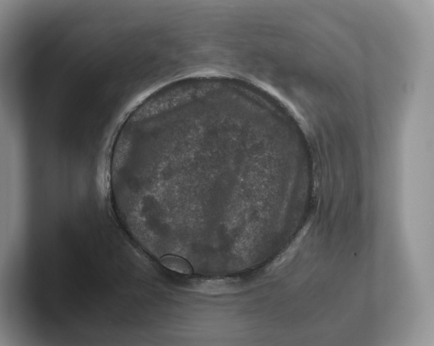 X0000101711367200807311443