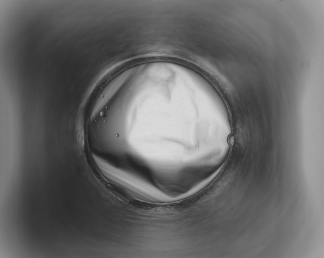 X0000101711368200807311443