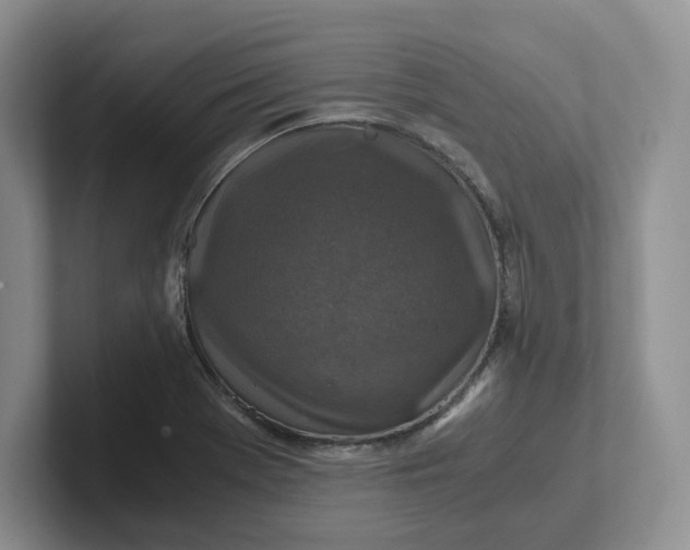 X0000101711369200807311443