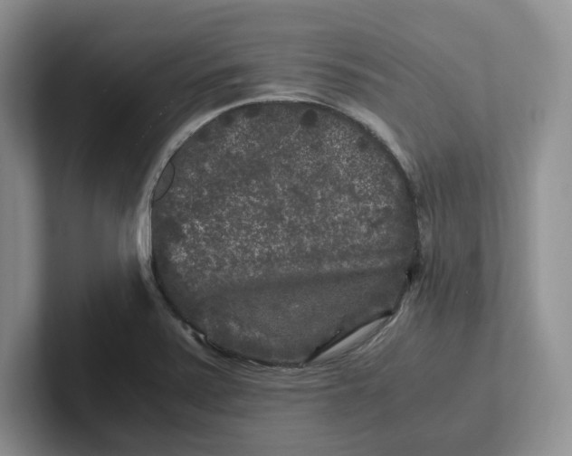 X0000101711371200807311443