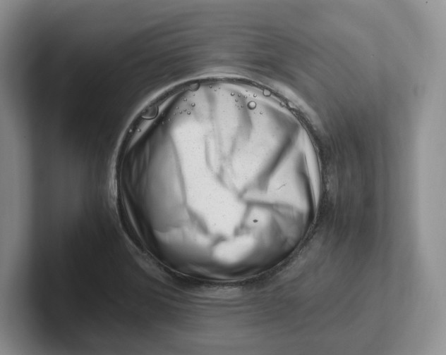 X0000101711372200807311443