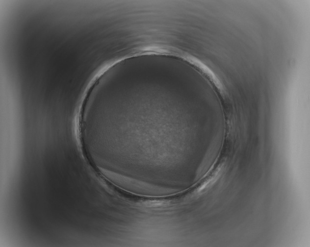 X0000101711373200807311443