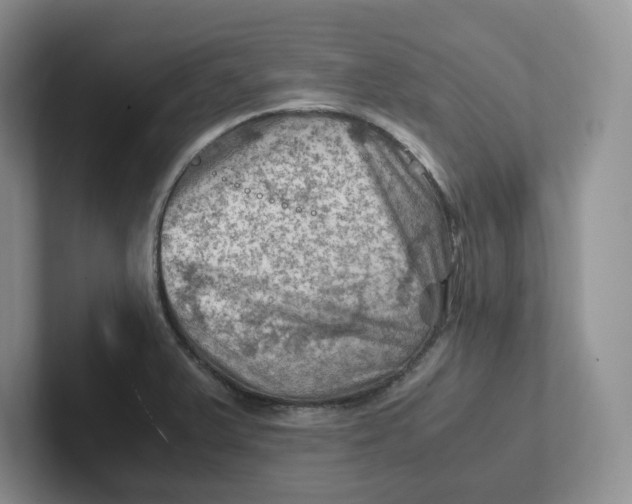 X0000101711375200807311443