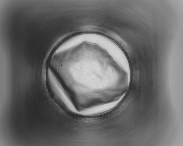 X0000101711376200807311443