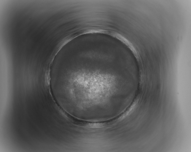 X0000101711377200807311443