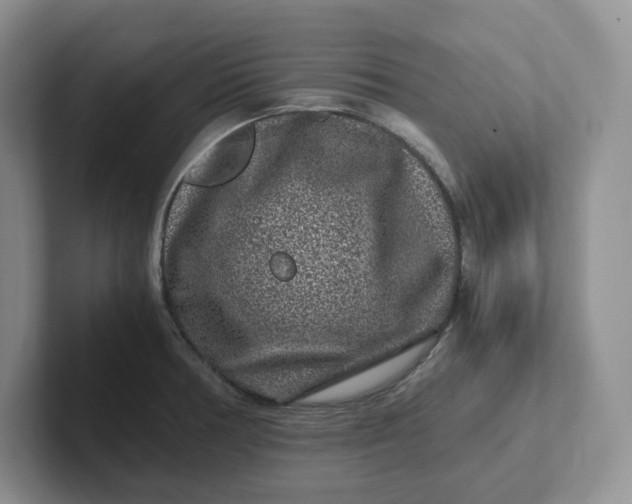 X0000101711378200807311443