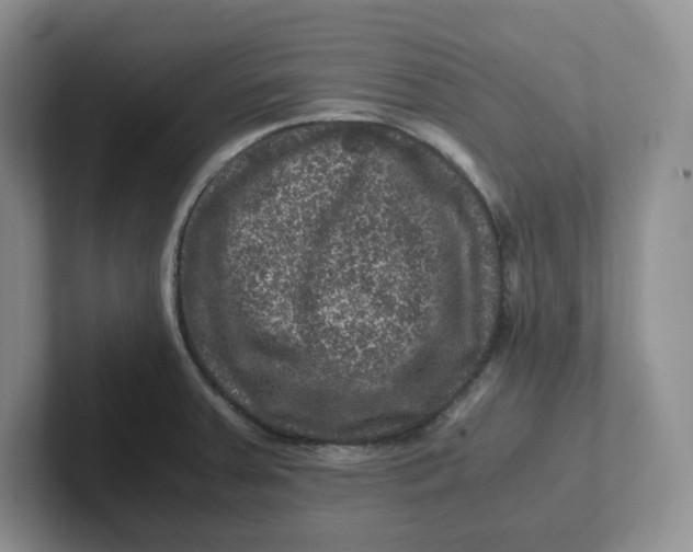 X0000101711379200807311443