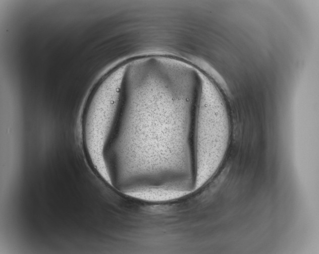 X0000101711380200807311443