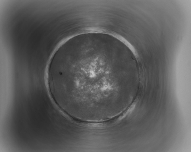 X0000101711381200807311443