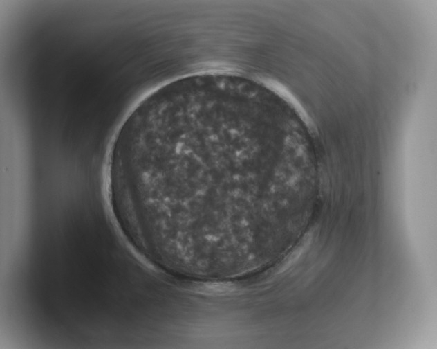 X0000101711383200807311443