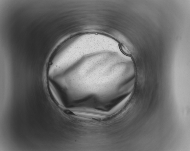 X0000101711384200807311443