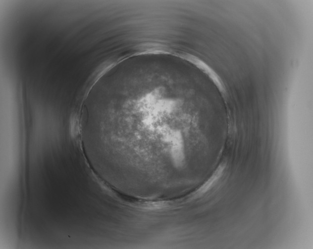 X0000101711385200807311443