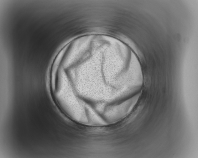 X0000101711387200807311443