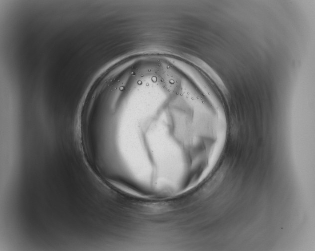 X0000101711388200807311443