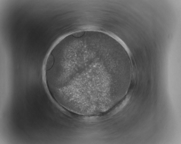 X0000101711389200807311443