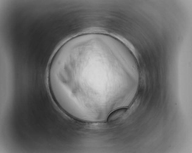 X0000101711390200807311443