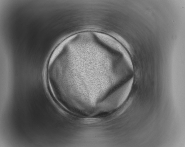 X0000101711391200807311443